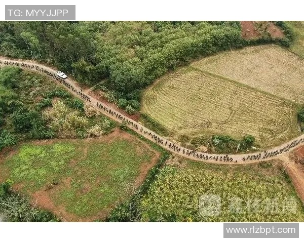 杭州极限运动队反击战术解析与实战应用探讨