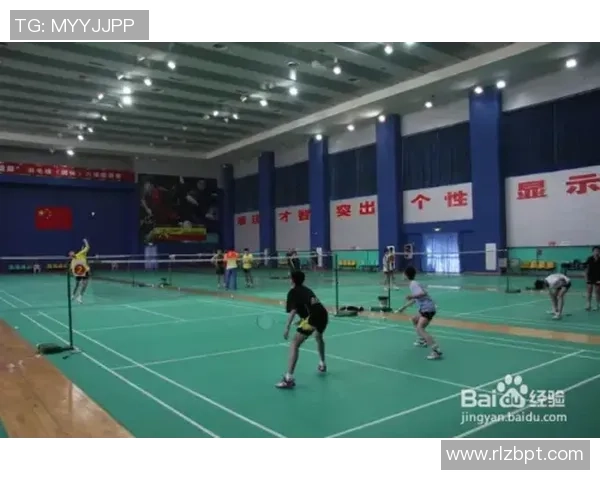 深圳羽毛球队快攻战术解析与训练方法探讨